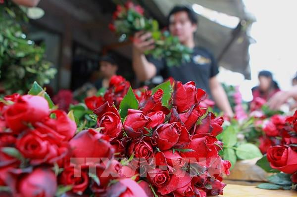 Gợi ý lời chúc lãng mạn, ý nghĩa cho bạn gái ngày Valentine
