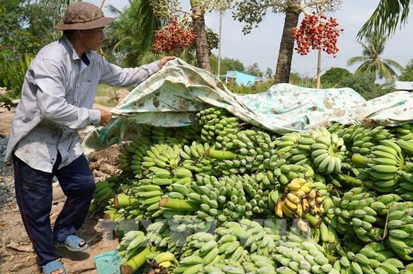 Nhiều nông sản Kiên Giang tăng giá