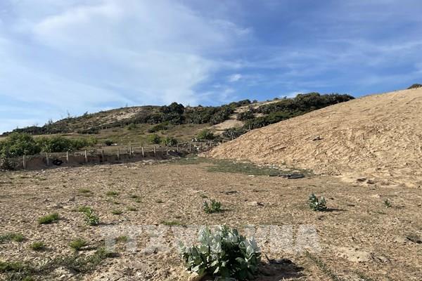 Ninh Thuận gấp rút triển khai các phần việc, bảo đảm tiến độ chung dự án điện hạt nhân