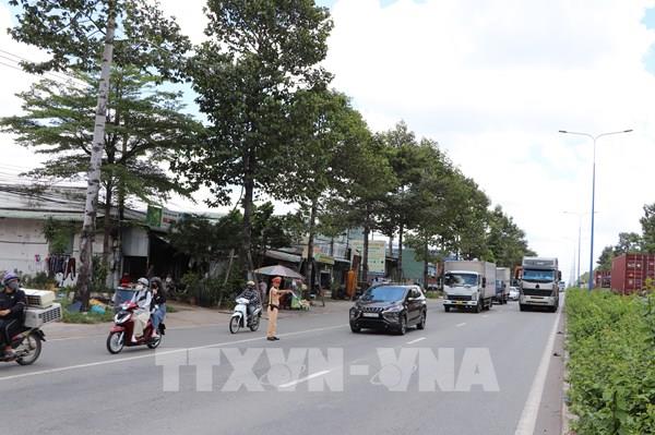 Bình Dương dừng tiếp nhận cấp, đổi giấy phép lái xe