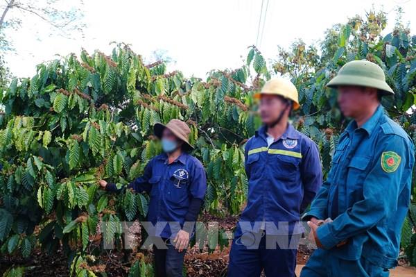 Cần đảm bảo hài hòa quyền lợi người lao động khi thu bảo hiểm xã hội bằng cà phê