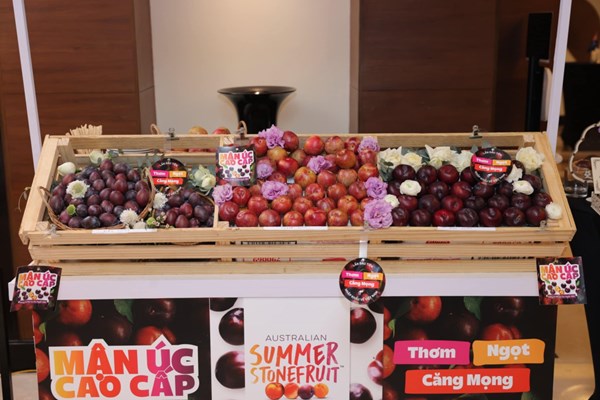 Mận Úc chính thức ra mắt thị trường Việt Nam