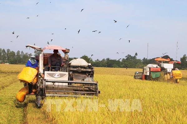 Liên kết làm nông nghiệp xanh
