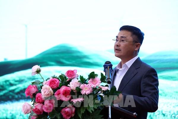 Phối hợp điều độ lưới điện: Cần sự đồng hành của các nhà máy điện