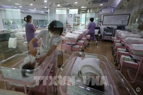 Tỷ suất sinh thô ở Hàn Quốc lần đầu tăng trong một thập kỷ