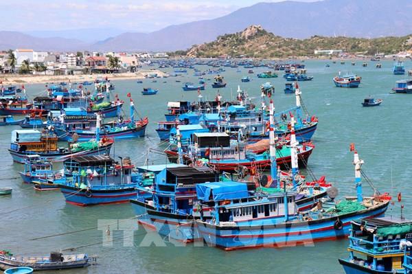 Ninh Thuận phát triển kinh tế biển bền vững