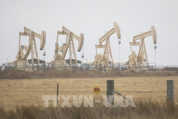 Giá dầu tăng sau quyết định hạn chế sản lượng của OPEC+