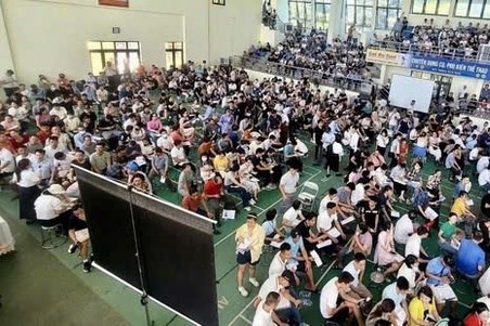 Hà Nội: Đấu giá đất tại huyện Thanh Oai, giá trúng cao nhất 90 triệu đồng/m2
