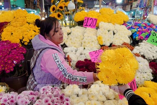 Rực rỡ thiên đường hoa giữa lòng Mexico City