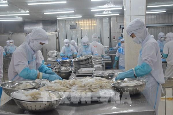 Đón đầu xu hướng, doanh nghiệp thủy sản vào cuộc xanh hóa