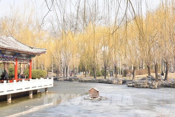 Vẻ đẹp mùa Đông Bắc Kinh