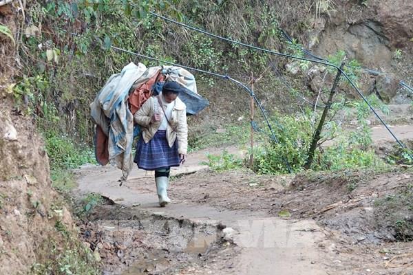 Thời tiết đêm 7/3: Vùng núi Đông Bắc Bộ trời rét đậm, rét hại