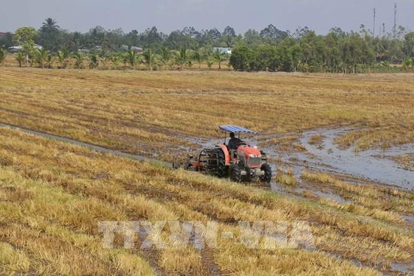 Theo dõi sát diễn biến thị trường gạo thế giới để có kế hoạch sản xuất phù hợp