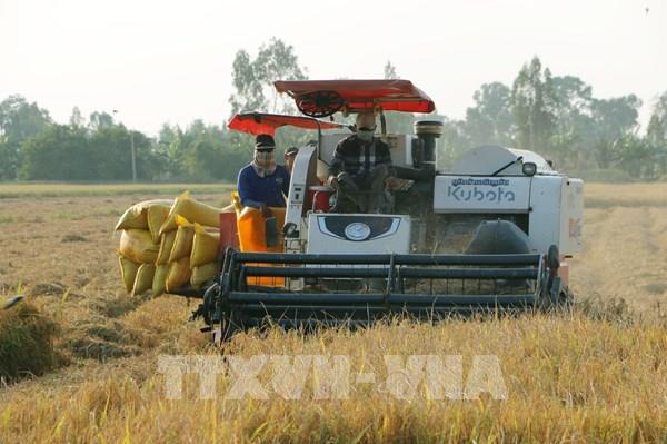 Đột phá theo Nghị quyết 57: Tính chiến lược của chủ trương đổi mới sáng tạo và chuyển đổi số quốc gia