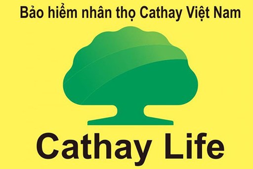 Công bố kết luận thanh tra tại 2 công ty bảo hiểm nhân thọ