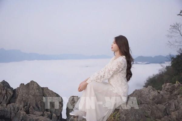 Vừa ngắm hoa, vừa săn mây trên cao nguyên Mộc Châu