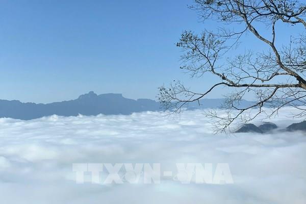 Ngắm hoa, săn mây trên cao nguyên Mộc Châu