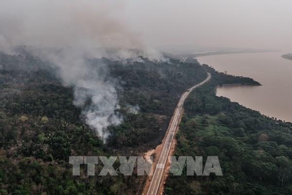 Mất rừng Amazon có thể làm trầm trọng thêm lũ lụt và hạn hán