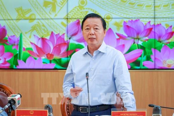 Phó Thủ tướng Trần Hồng Hà: Theo dõi diễn biến thị trường để chủ động điều hành sản xuất, xuất khẩu lúa gạo