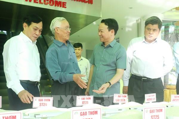 Bộ trưởng Đỗ Đức Duy: Các doanh nghiệp cần tìm kiếm, mở rộng thị trường xuất khẩu gạo