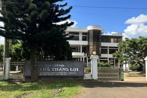 Thanh tra tỉnh Đắk Lắk chỉ ra các sai phạm tại Công ty Cổ phần cà phê Thắng Lợi