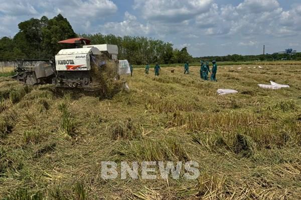 “Chắc tay súng, vững tay cày”
