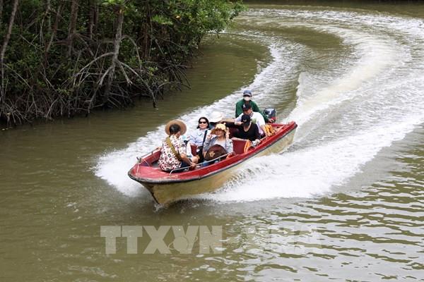  Trải nghiệm không gian du lịch đảo khỉ ở Cần Giờ