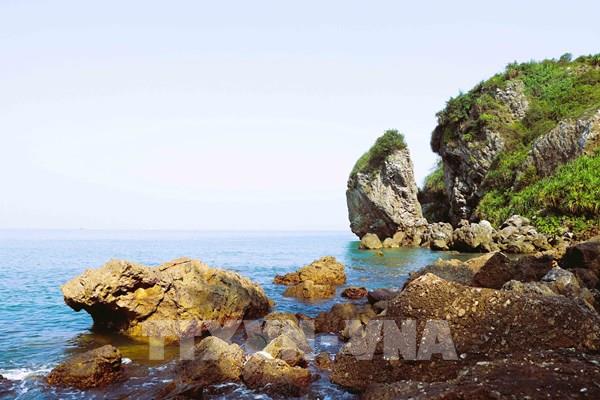 Vẻ đẹp hoang sơ của biển Quỳnh