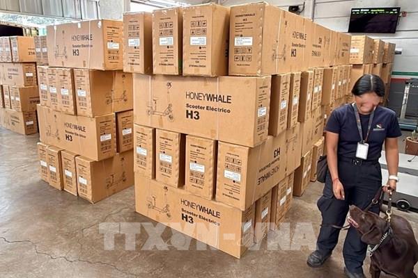 Mexico thu giữ gần 15 triệu USD hàng hóa nhập khẩu trái phép