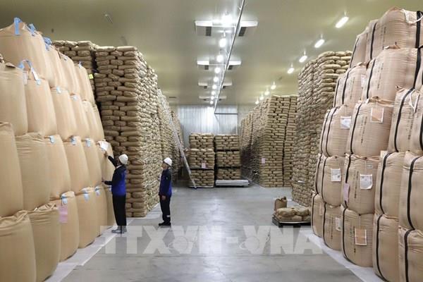 Nhật Bản đặt mục tiêu tăng gấp 8 lần xuất khẩu gạo vào năm 2030