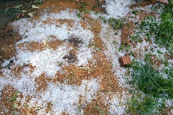 Mưa đá, dông lốc gây thiệt hại tài sản, hoa màu của người dân