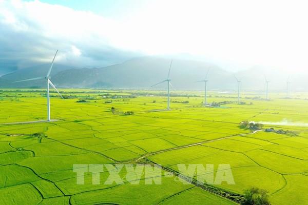 Khám phá cánh đồng điện gió Đầm Nại (Ninh Thuận)