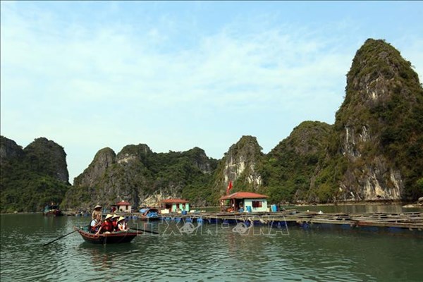 Quảng Ninh: Chưa cấp phép dịch vụ ăn uống trong hang động