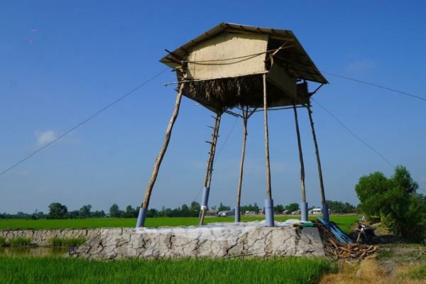 Nghề nuôi dơi lấy “dạ minh sa” ở Đồng Tháp