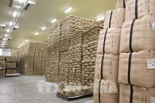 Tái cấu trúc ngành lúa gạo - Bài cuối: Thị trường gạo thế giới trước áp lực giá hạ