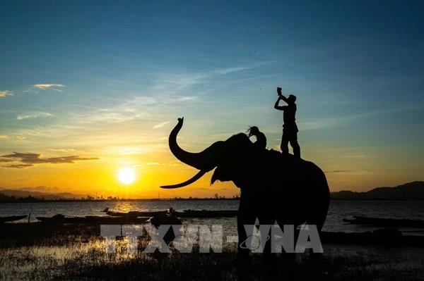  Về với Tây Nguyên đại ngàn “mùa con ong đi lấy mật”