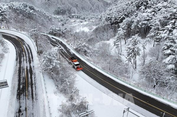 Tuyết rơi dày bất thường gây gián đoạn giao thông ở Hàn Quốc
