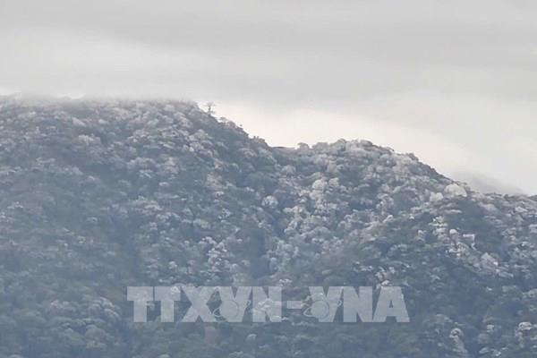 Băng tuyết bất ngờ xuất hiện trên đỉnh Tà Xùa