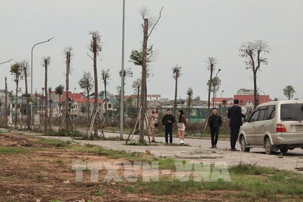 Nhà đầu tư thận trọng trước giá bất động sản "leo thang"