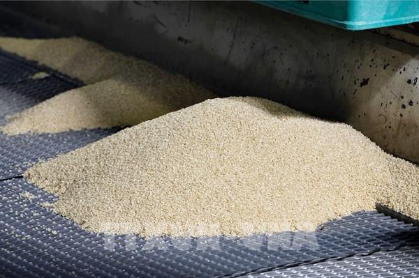 Giá gạo bán buôn tại Nhật Bản lập kỷ lục mới
