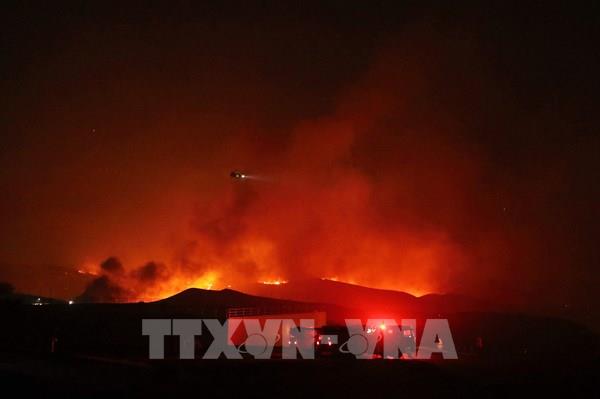 Cháy rừng lan rộng tại Texas (Mỹ)