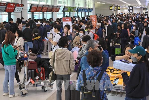 Lao động Việt Nam làm việc theo thời vụ tại tỉnh Jeju tăng mạnh