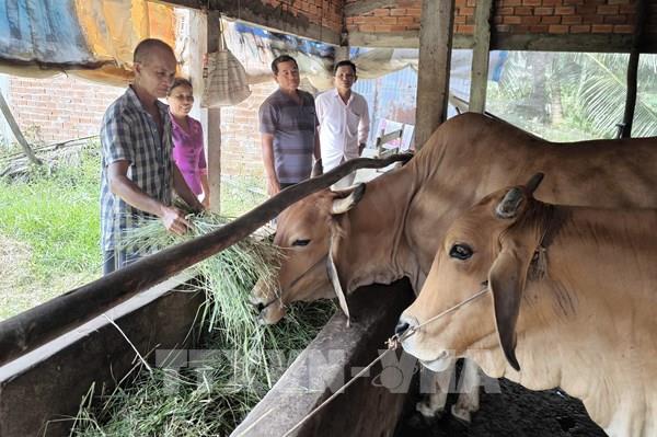 Bến Tre thông tin “hai chiều” để nâng cao chất lượng Chi bộ 
