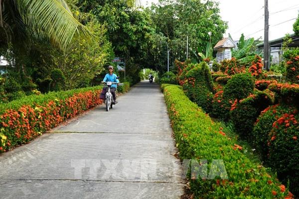 50 năm Thống nhất đất nước: Ngày nay xuân thời