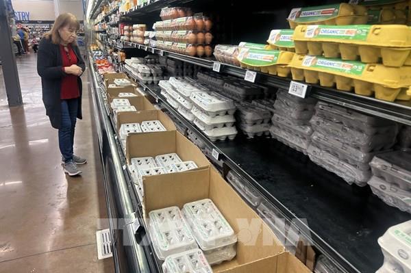 Mỹ nhập khẩu trứng để giải quyết khủng hoảng do dịch cúm gia cầm gây ra