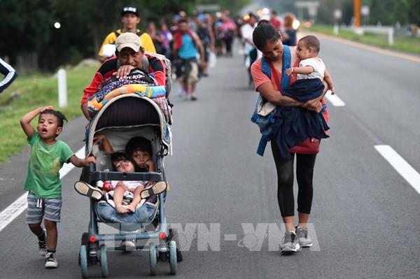 Mỹ thu hồi tư cách pháp lý của hơn 500.000 người nhập cư