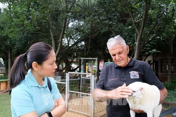 Nơi ngập tràn tình yêu dành cho những chú chó pug ở Nam Phi