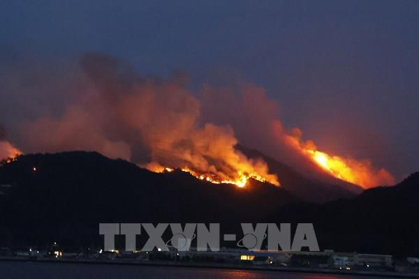 Cháy rừng lan rộng tại Nhật Bản, sơ tán gần 2.800 người