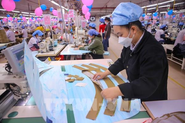 Siết xuất xứ, Bộ Công Thương yêu cầu quản lý chặt nguyên liệu sản xuất