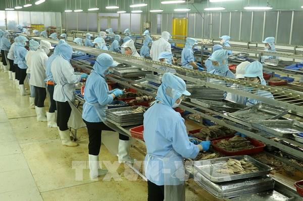 Sản xuất công nghiệp quý I của Kiên Giang tăng trên 15%